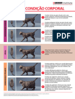 Purina Sistema de Condição Corporal de Felinos