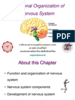 Lect. 1 Organization of The Nervous System 54