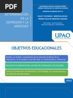 Determinación de La Depresión Y La Ansiedad: Salud Y Sociedad I:Medicina Social Primer Ciclo de Medicina Humana