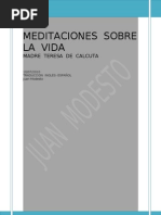 Meditaciones Sobre La Vida