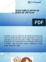 A Historia Da Familia Antes Da Chegada de Um Filho