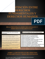 La Distinción Entre Derechos Fundamentales y Derechos Humanos