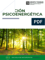 Dossier Sanacion Psicoenergetica WEB