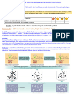 Activité N°1 La Réplication de lADN Et Développement de Nouvelles Biotechnologies