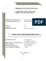 Irving Jose Pallo Simbaña-Pis - Modelo 80 Horas