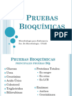 Pruebas Bioquímicas