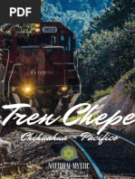 Recomendaciones Tren Chepe 2024 Chihuahua - Pacifico