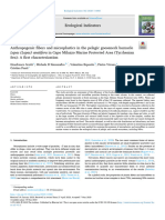 Anthropogenic Fibers and Microplastics in The Pela