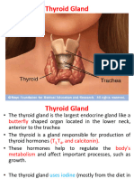 2.tyroid Gland Drs