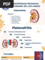 Pielonefritis Grupo 3