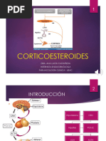 2.1 Esteroides Presentación