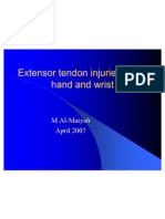 Extensor Tendon Injuries in The Hand and Wrist 16042007