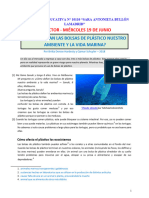 Plan Lector - Cómo - Dañan - Las - Bolsas - de - Plástico - Nuestro - Ambiente - y - La - Vida - Marina