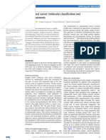 Endometrial Cancer Molecular Classification and Fu