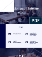 Audit Interne Fonction Agile