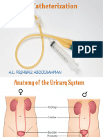 Urinary Catheterization PDF