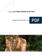 Factsheet: Datos Botánicos de Tara