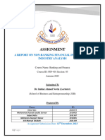 FIN401 Final Assignment (NBFIs) (Group 2)