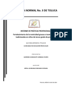 Informe de Prácticas Profesionales