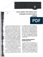 Texto 5a - Montando Uma Bateria de ANP