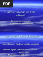 Status of PPR in Nepal 2007