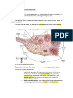 Summary 3-Female Reproductive System