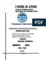 Promocion Social..Propuesta