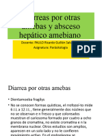 Diarreas Por Otras Amebas y Absceso Hepático Amebiano