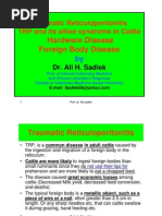 Traumatic Reticuloperitonitis by Ali Sadiek