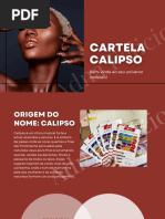 Paleta Calipso - Dossiê