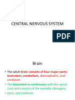 Central Nervous System