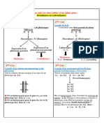 Resume Genetique Des Diploides