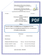 Memoire Culture Champignons