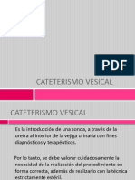 Cateterismo Vesical