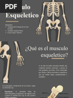 Musculo Esqueletico