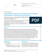 AMR M Tuberculosis Perspective