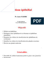 1 Tissu Épithélial