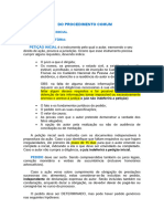 Aula 04 - CPC - Proc Comum