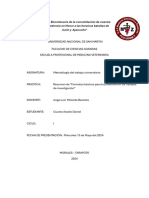 Formatos Basicos para La Presentacion de Trabajos de Investigacion