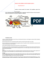 Nutrition of Vertebrates Fish Amphibians Reptiles Birds Mammals