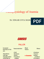 Anemia Pathophysiology 1