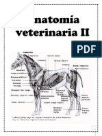 Anatomía Veterinaria II Carpeta Completa