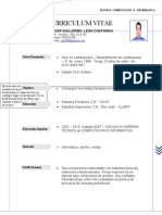 Curriculum Vitae Exterior PEKEÑO