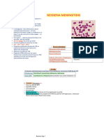 Neisseria Meningitidis