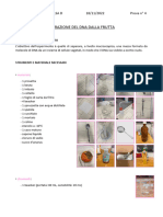 Relazione Biologia 1 PDF