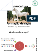 2 Formação Das Raças