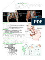 Hip Fractures