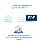 Efficiency Improvement of Squirrel Project Report