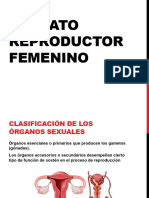 Aparato Reproductor Femenino