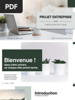 Présentation Projet Entreprise Moderne Sobre Professionnel Blanc Gris Vert PDF